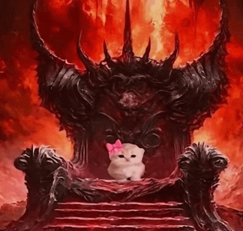 котик